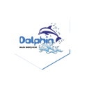 dolphinbus-blog