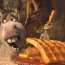 donkeys-waffles