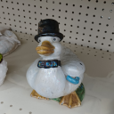 duck-in-a-thrift-store