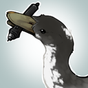 duckscribbles avatar