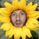 dunflower