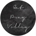 eatprayvolley-blog