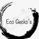 ecogeckos-blog