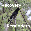 ed-recovery-reminders