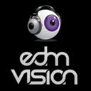 edmvision-blog