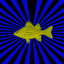 el-pescado-amarillo-blog