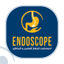 endoscopeegypt