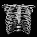 enochian-ribcage
