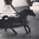 equinehearts-blog avatar