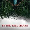 escaping-the-tall-grass