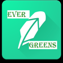 evergreenz-blog1
