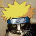 everything-is-naruto
