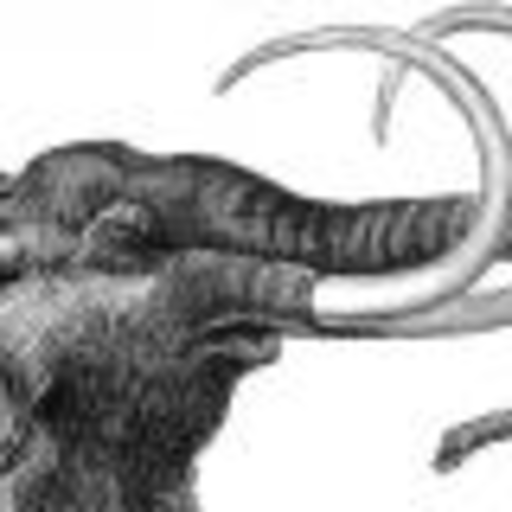 evilmammoth’s profile image