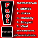 factfactoryz-blog
