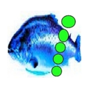 fartfish avatar