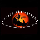 faughnphotography