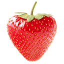 feral-strawberry-blog