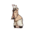 ferret-in-a-trenchcoat