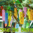 festivebigbrother3-blog