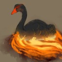 fire-and-swan