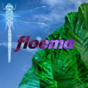 floema-ruc