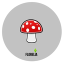 floreliia-blog