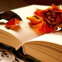 flowers-tucked-between-the-pages