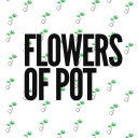flowersofpot