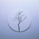 foglandcollective-blog