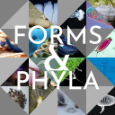 forms-and-phyla