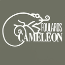 foulardscameleon-blog