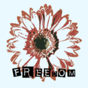 freedomflower180-blog