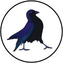 friend-crow