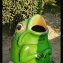 frog-in-bog