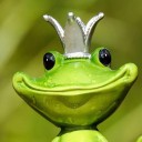 frogsarepeople2