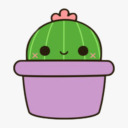 fundamental-cactus