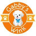 gabbyswink-blog