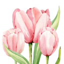 garden-of-tulips