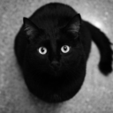 gato-que-aprende-blog