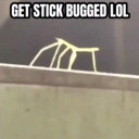 getstickbuggedlol