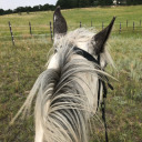 girlgone-equestrian
