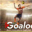 goaloo-soccer