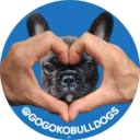 gogokobulldogs-blog