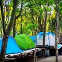 green-camping-wayanad