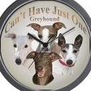 greyhounds-and-greyhounds
