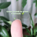 growing-my-green-thumb