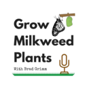 growmilkweedplants-blog