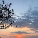 happy-sunsetx2411-blog