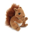 hatchetfield-pocket-squirrel