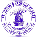 henni-gardenia-plants